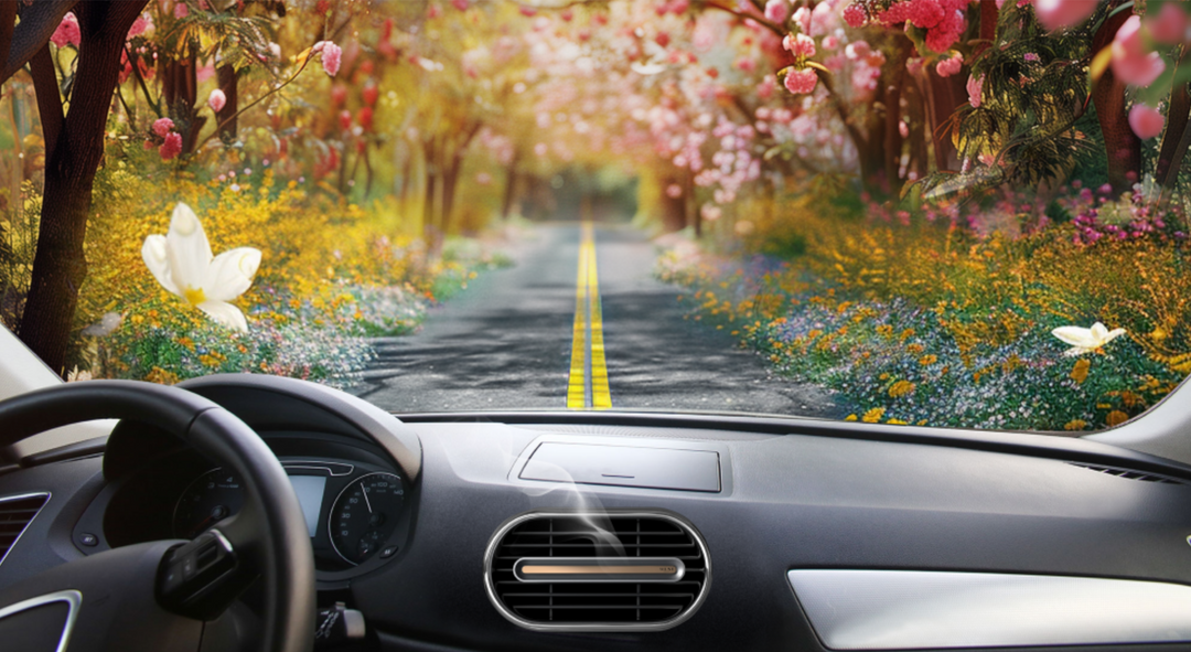 Car Scenting